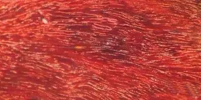 1578987364775841.jpg 4.jpg