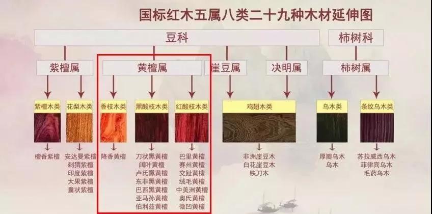 1578988017502853.jpg 8.jpg