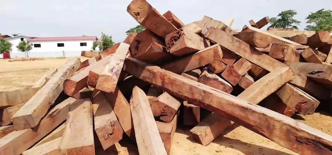 1579404797325704.png image.png